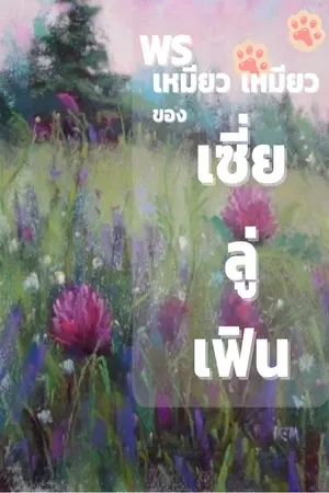 ปกนิยาย