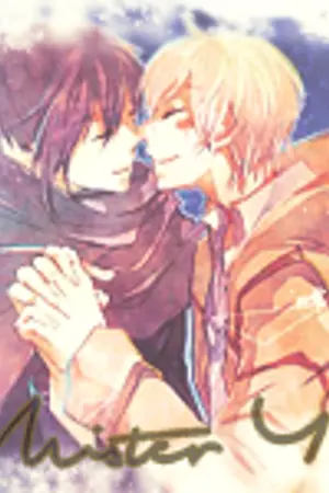 ปกนิยาย the мisτeᴦ ч stories