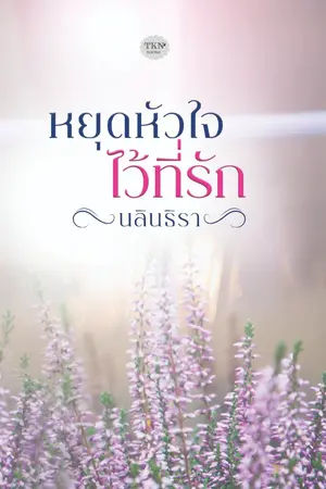 ปกนิยาย