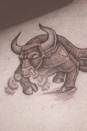 ปกนิยาย THE MATADOR (Chanbaek) -END-