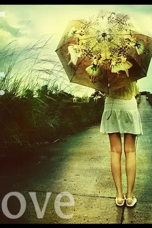 ปกนิยาย Looking For Love ตามรัก