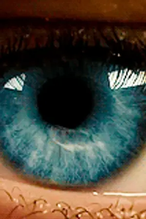 ปกนิยาย T h e  B e a c h | Billy x Eleven