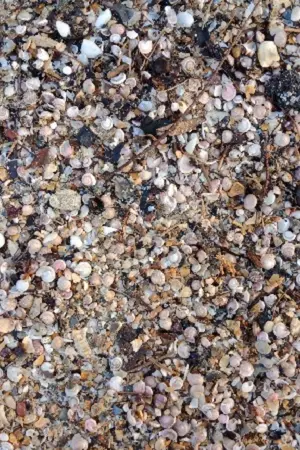 ปกนิยาย คุณเปรม (yaoi)