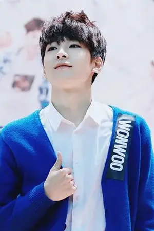 ปกนิยาย [SEVENTEEN] Wonwoo's Law #minwon #meanie feat.etc