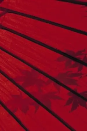 ปกนิยาย Overthemoon bar — chanbaek