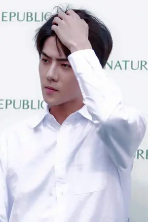 ปกนิยาย Memory ความทรงจำที่ไม่น่าจดจำ [EXO X YOU]