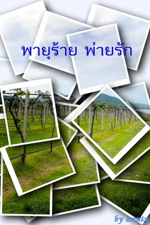 ปกนิยาย