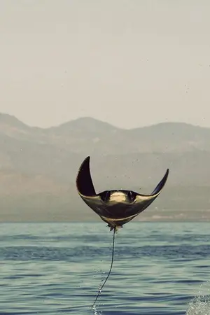 ปกนิยาย [GOT7 SF]  THE LIST