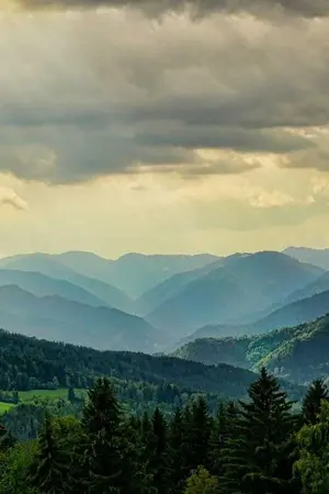 ปกนิยาย เด็กดอย VKOOK