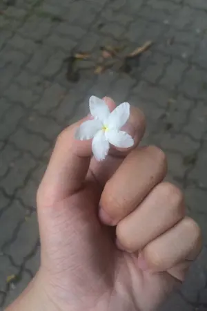 ปกนิยาย แอบรักคนในวงเดียวกัน