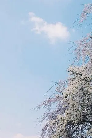 ปกนิยาย 79 Days in Korea .