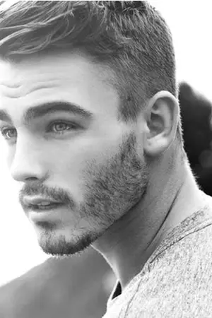 ปกนิยาย ปีกปรียา