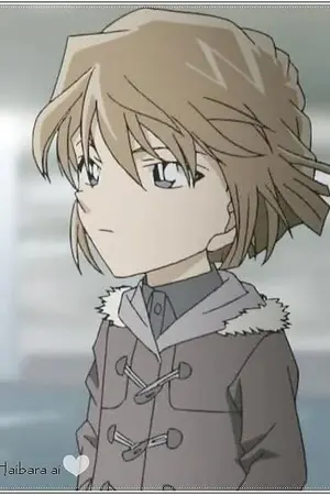 ปกนิยาย [ Fanfiction ] การพบกันครั้งสุดท้าย ( Conan x Haibara )