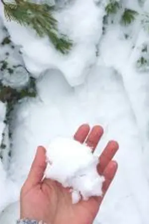 ปกนิยาย The First Time We Met