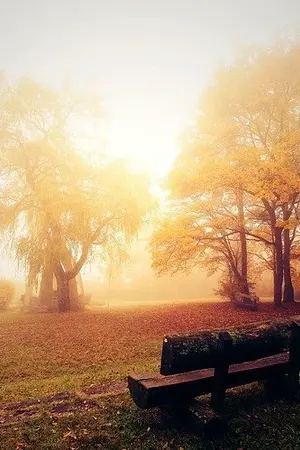 ปกนิยาย Loss and Gain [Minho/Newt]