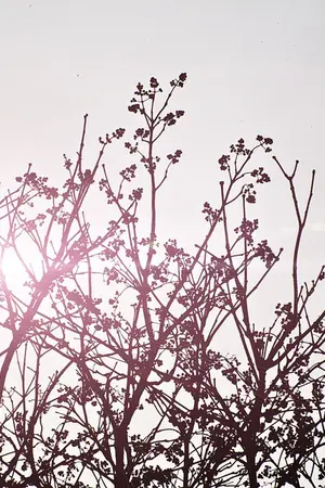 ปกนิยาย future for us [moonsun]