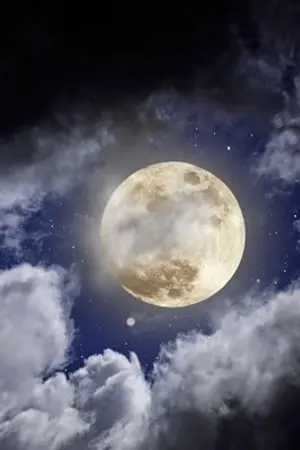 ปกนิยาย Anya - ที่ไม่มีวันสิ้นสุด