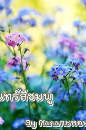 ปกนิยาย #วันจันทร์สีชมพู  จบแล้ว