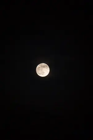 ปกนิยาย อัศวหมายจันทร์ kaido