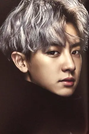 ปกนิยาย 왜? |chanbaek