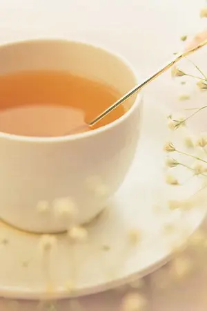 ปกนิยาย [Yume100]Hello Halloween with princes of tea