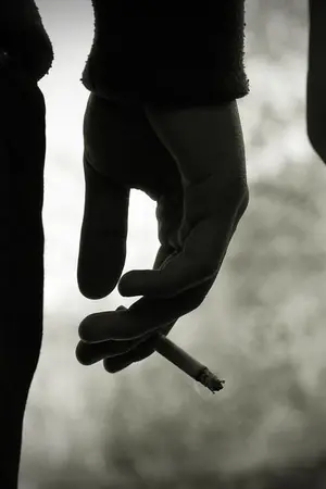 ปกนิยาย Just like nicotine