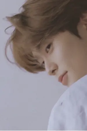 ปกนิยาย SUNSHINE | คำถามของผมถึงคุณพระอาทิตย์ ☀︎