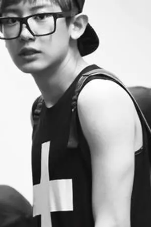 ปกนิยาย {EXO} WILD