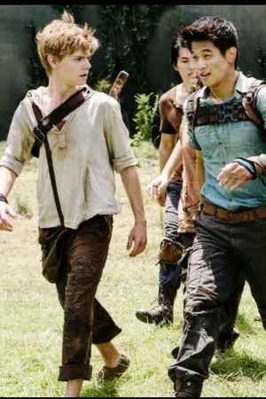 ปกนิยาย minho x newt fic**maze runner