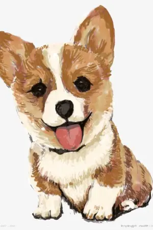 ปกนิยาย [SF]พี่หมอหมา Chanbaek