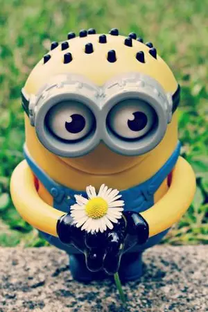 ปกนิยาย ขายนิยายแจ่มใสเล่มละ 90-100 บาทเอง + เซ็ตหอพักรักเต็มหัวใจ