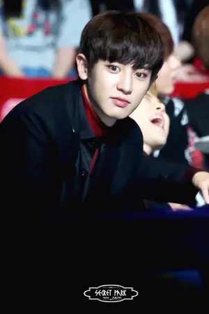 ปกนิยาย My Babe -Chanbaek-