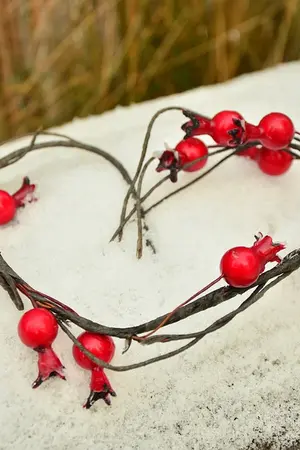 ปกนิยาย เมียบำเรอพยศรัก