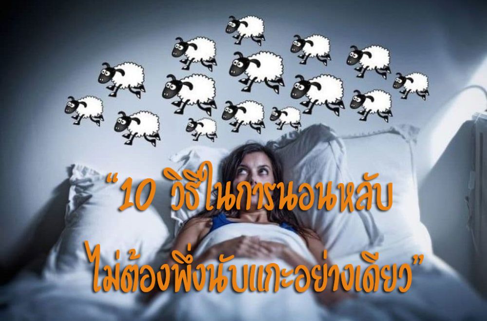 10 วิธีให้นอนหลับ ไม่ต้องพึ่งนับแกะอย่างเดียว | Dek-D.Com