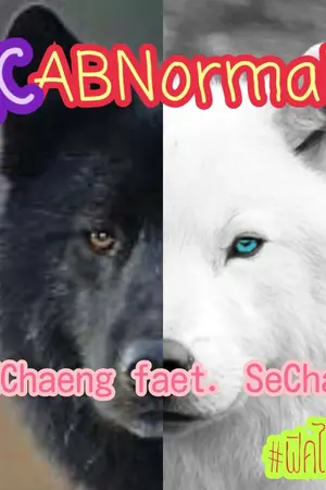 ปกนิยาย [Fic Dubchaeng] ABNormal faet.SeChae #ฟิคไม่ปกติ