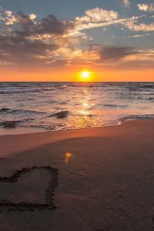 ปกนิยาย Love sees it all #ตะวันส่องรัก