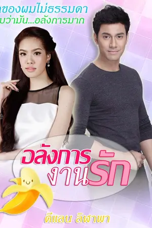 ปกนิยาย อลังการงานรัก