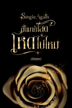 ปกนิยาย Single Again ตื่นมาก็โสดโหดไปไหม