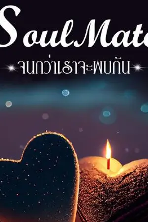 ปกนิยาย