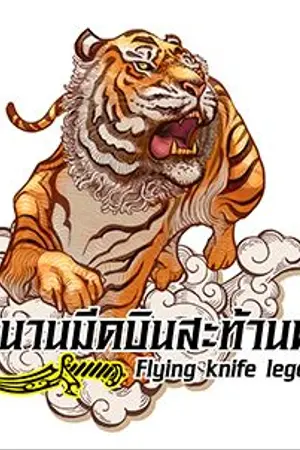 ปกนิยาย ตำนานมีดบินสะท้านฟ้า