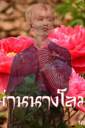 ปกนิยาย