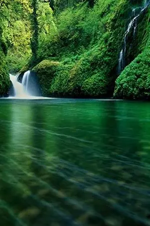 ปกนิยาย TRUE LOVE ดังฝันรักนิรันดร