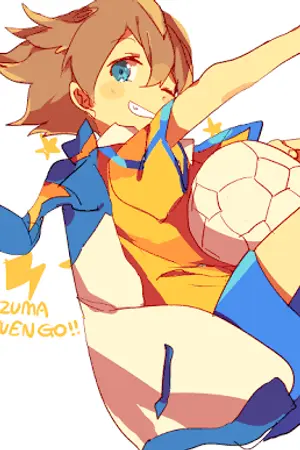 ปกนิยาย INAZUMA ELEVEN GO >Precious moments<