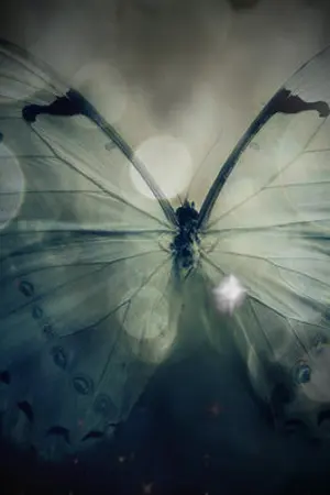 ปกนิยาย [KookMin] • S O U L M A T E •