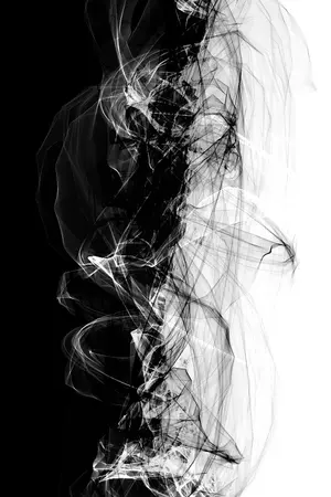 ปกนิยาย Double Assassin สองเกรียนพี่น้องนักฆ่า