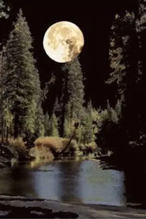 ปกนิยาย จากนี้ไปจนนิรันดร์