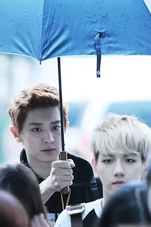 ปกนิยาย {EXO} FIC แทนค่าสมการ ChanBaekx2