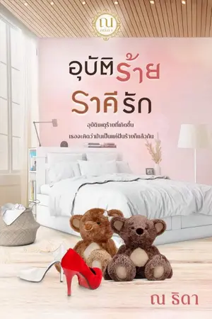 ปกนิยาย อุบัติร้ายราคีรัก
