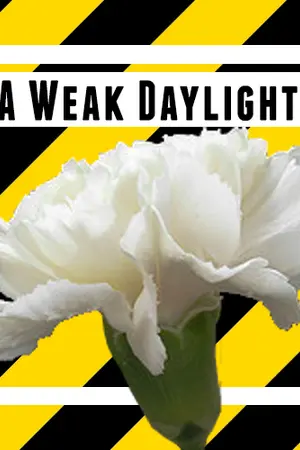 ปกนิยาย [FIC GOT7] A Weak Daylight (BNyoung, Jackjae, Markbam, Gyeomkook)