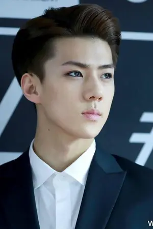 ปกนิยาย My Knight  {HUNHAN}